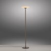 Paul Neuhaus lights Vitrum floor lamp LED brown, 2-light sources