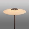 Paul Neuhaus lights Vitrum floor lamp LED brown, 2-light sources