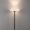 Paul Neuhaus lights Vitrum floor lamp LED brown, 2-light sources