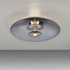 Paul Neuhaus lights Vitrum ceiling light LED grey, 2-light sources