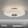 Paul Neuhaus lights Vitrum ceiling light LED brown, 2-light sources