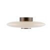 Paul Neuhaus lights Vitrum ceiling light LED brown, 2-light sources