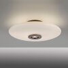 Paul Neuhaus lights Vitrum ceiling light LED brown, 2-light sources