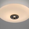Paul Neuhaus lights Vitrum ceiling light LED brown, 2-light sources