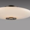 Paul Neuhaus lights Vitrum ceiling light LED brown, 2-light sources