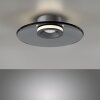 Paul Neuhaus lights Moon ceiling light LED grey, 2-light sources