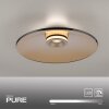 Paul Neuhaus lights Moon ceiling light LED bronze, 2-light sources