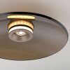 Paul Neuhaus lights Moon ceiling light LED bronze, 2-light sources