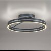 Paul Neuhaus lights Loop ceiling light LED grey, 2-light sources, Remote control