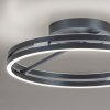 Paul Neuhaus lights Loop ceiling light LED grey, 2-light sources, Remote control