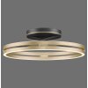 Paul Neuhaus lights Loop ceiling light LED gold, black, 2-light sources, Remote control