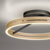 Paul Neuhaus lights Loop ceiling light LED gold, black, 2-light sources, Remote control