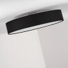 Skelbaek Ceiling Light matt nickel, 5-light sources