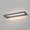 Paul Neuhaus lights Puro wall light LED grey, 1-light source
