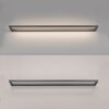 Paul Neuhaus lights Puro wall light LED grey, 1-light source