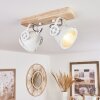 HERFORD Ceiling Light, 2-light sources