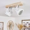 HERFORD Ceiling Light, 2-light sources