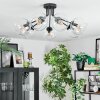 Koyoto ceiling light, globe light clear, 7-light sources