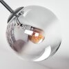 Gastor ceiling light, globe light Amber, clear, Smoke-coloured, 7-light sources
