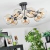 Ripoll ceiling light, globe light Amber, clear, 7-light sources