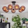 Koyoto ceiling light, globe light coppery, 7-light sources