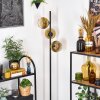 Koyoto floor lamp 31 cm gold, clear, 3-light sources