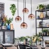 Koyoto hanging light, globe light, Cluster pendant lamp clear, coppery, 4-light sources