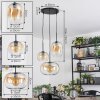 Apedo hanging light, pendant light, Cluster pendant lamp Amber, clear, 3-light sources