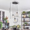 Ripoll hanging light, globe light, Cluster pendant lamp clear, 3-light sources