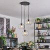 Ripoll hanging light, globe light, Cluster pendant lamp clear, 3-light sources