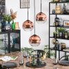 Ripoll hanging light, globe light, Cluster pendant lamp clear, coppery, 3-light sources