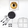 Koyoto hanging light, globe light, Cluster pendant lamp gold, 4-light sources