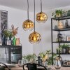 Ripoll hanging light, globe light, Cluster pendant lamp gold, clear, 3-light sources