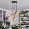 Ripoll hanging light, globe light, Cluster pendant lamp gold, clear, 3-light sources