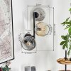 Ripoll globe light, wall light Amber, clear, Smoke-coloured, 3-light sources
