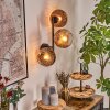 Ripoll globe light, wall light clear, coppery, 3-light sources