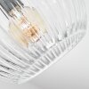 Ripoll ceiling light, globe light clear, 7-light sources