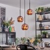 Ripoll hanging light, globe light, Cluster pendant lamp coppery, 3-light sources