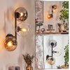 Gastor globe light, wall light Amber, clear, Smoke-coloured, 3-light sources