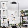 Apedo hanging light, pendant light, Cluster pendant lamp clear, 3-light sources