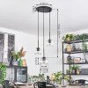 Ripoll hanging light, globe light, Cluster pendant lamp clear, 3-light sources