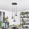 Ripoll hanging light, globe light, Cluster pendant lamp chrome, Smoke-coloured, 3-light sources
