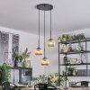 Ripoll hanging light, globe light, Cluster pendant lamp Amber, 3-light sources
