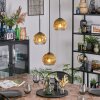 Ripoll hanging light, globe light, Cluster pendant lamp gold, clear, 3-light sources