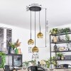 Ripoll hanging light, globe light, Cluster pendant lamp gold, clear, 3-light sources