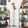 Ripoll floor lamp gold, clear, 3-light sources
