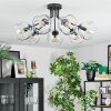 Ripoll ceiling light, globe light clear, 7-light sources