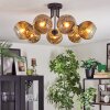 Ripoll ceiling light, globe light gold, clear, 7-light sources