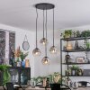 Ripoll hanging light, globe light, Cluster pendant lamp clear, Smoke-coloured, 4-light sources