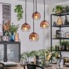 Ripoll hanging light, globe light, Cluster pendant lamp clear, coppery, 4-light sources